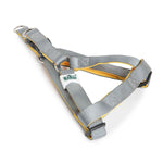 Basil Padded Dog Harness – Grey, Adjustable & Comfortable No-Pull Harness for Walking and Training Dogs of All Sizes