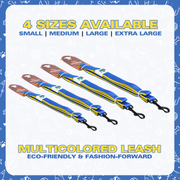 Leash for Dogs, Cats & Puppies (Solid Blue) - The Basil Pet Care