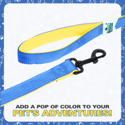 Leash for Dogs, Cats & Puppies (Solid Blue) - The Basil Pet Care