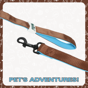 Leash for Dogs, Cats & Puppies (Solid Brown) - The Basil Pet Care