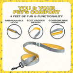 Leash for Dogs, Cats & Puppies (Solid Gray) - The Basil Pet Care