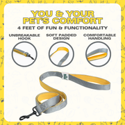 Leash for Dogs, Cats & Puppies (Solid Gray) - The Basil Pet Care