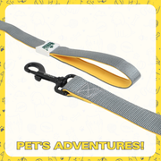 Leash for Dogs, Cats & Puppies (Solid Gray) - The Basil Pet Care