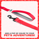 Leash for Dogs, Cats & Puppies (Solid Red) - The Basil Pet Care