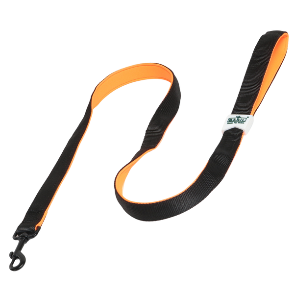 Leash for Dogs, Cats & Puppies (Solid Black)