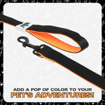 Leash for Dogs, Cats & Puppies (Solid Black) - The Basil Pet Care