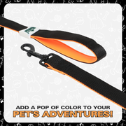Leash for Dogs, Cats & Puppies (Solid Black) - The Basil Pet Care