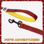 Leash for Dogs, Cats & Puppies (Solid Maroon) - The Basil Pet Care