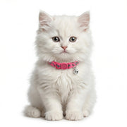 Basil Printed Adjustable Collar for Puppies & Cats – Stylish & Comfortable Design