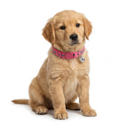 Basil Printed Adjustable Collar for Puppies & Cats – Stylish & Comfortable Design
