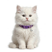 Basil Printed Adjustable Collar for Puppies & Cats – Stylish & Comfortable Design