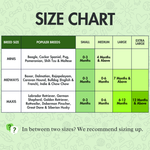 Padded Leash for Dogs, Cats & Puppies (Black & Gray) - The Basil Pet Care