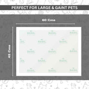 Training Pee Pads, Activated Carbon, Medium (45x60 CMS)