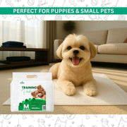 Training Pee Pads, Medium (45x60 CMS)