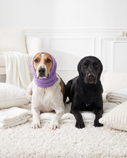 BASIL Pet Ear Muffs