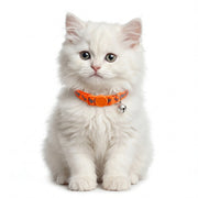 Basil Printed Adjustable Collar for Puppies & Cats – Stylish & Comfortable Design