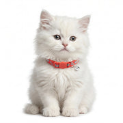 Basil Printed Adjustable Collar for Puppies & Cats – Stylish & Comfortable Design