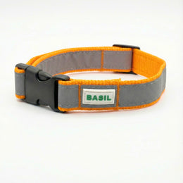 Reflective collar for street dogs to improve visibility and safety at night
