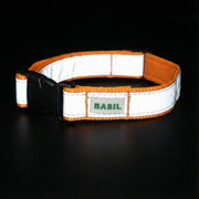 Reflective collar for street dogs to improve visibility and safety at night
