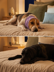 BASIL Pet Ear Muffs