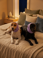 BASIL Pet Ear Muffs