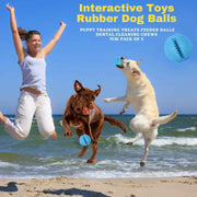 BASIL Solid Ball with Hollow Centre & Grooves in Sides for Treats