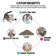 BASIL Cat Plush Toy with Cat Nip for Stuffing (Purple)