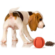 BASIL Solid Ball with Hollow Centre & Grooves in Sides for Treats