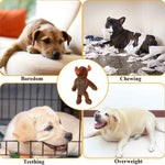 BASIL Big Bull Plush with Squeaky TPR Adult Dog Chew Toy