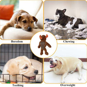 BASIL Big Bull Plush with Squeaky TPR Adult Dog Chew Toy