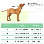 BASIL Padded Adjustable Dog Collar (Small) - The Basil Pet Care