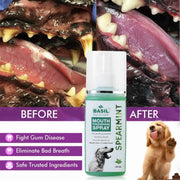BASIL Spearmint Mouth Freshening Spray for Dogs, 130ml