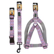 BASIL Padded Adjustable Pet Collar, 4 Ft Leash & Harness (Zig Zag, Purple)