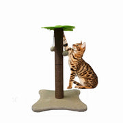 BASIL Cat Coconut Tree Scratcher with Dangler